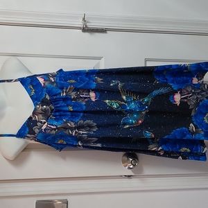 Hummingbird Casual Dress